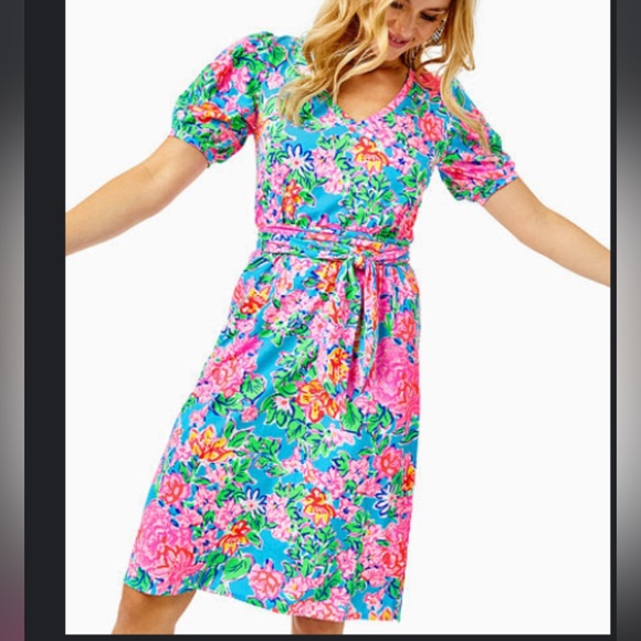 Lilly Pulitzer Dresses & Skirts - Lilly Pulitzer Isolde Dress NWT Size Small